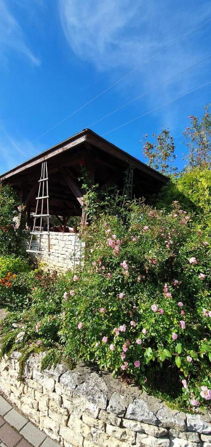Skalny Widok Villa Hucisko  Екстериор снимка