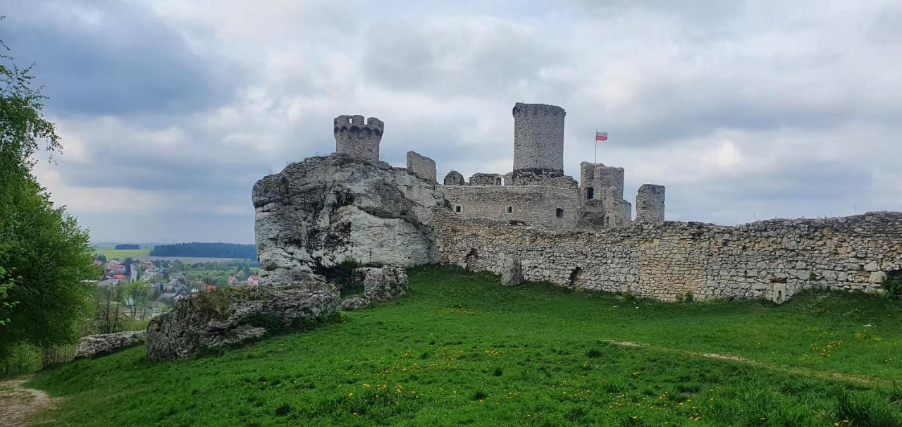 Skalny Widok Villa Hucisko  Екстериор снимка