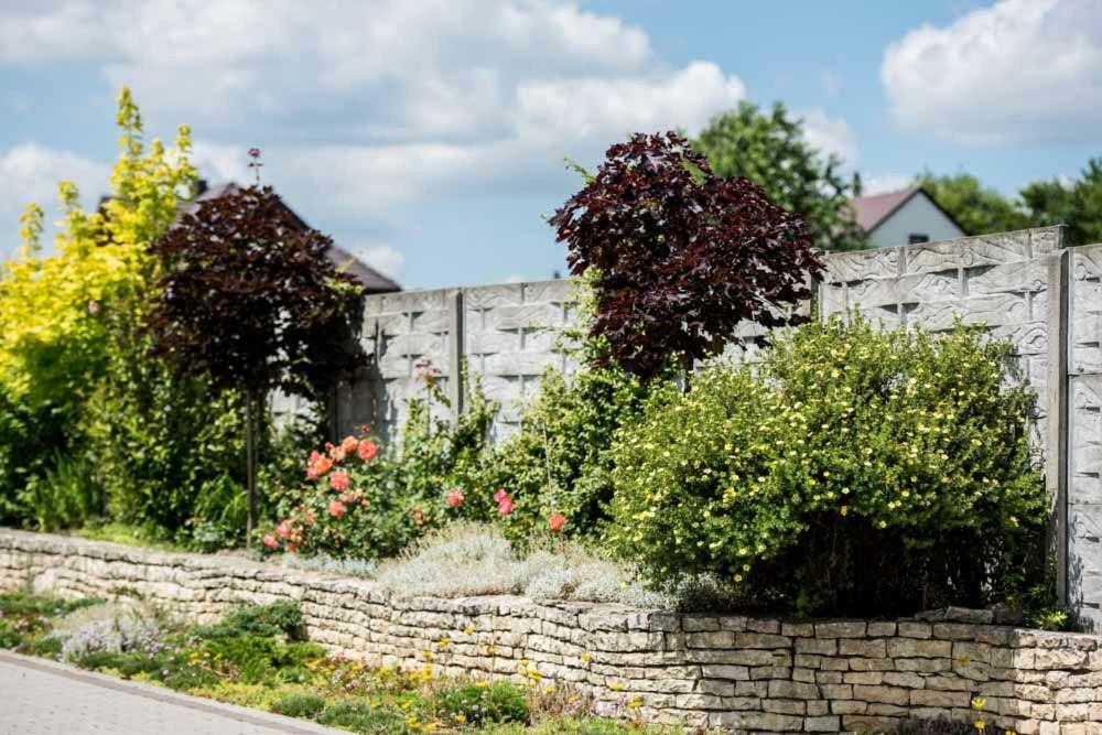 Skalny Widok Villa Hucisko  Екстериор снимка